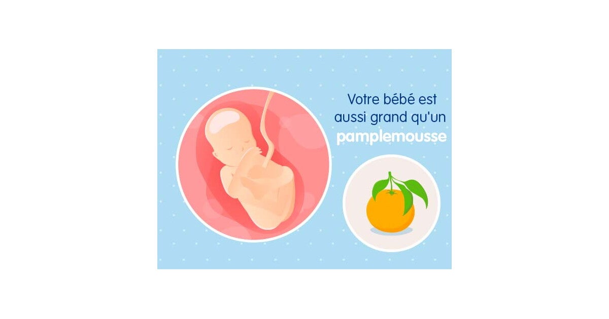 19eme Semaine De Grossesse 21 Sa Nestle Bebe