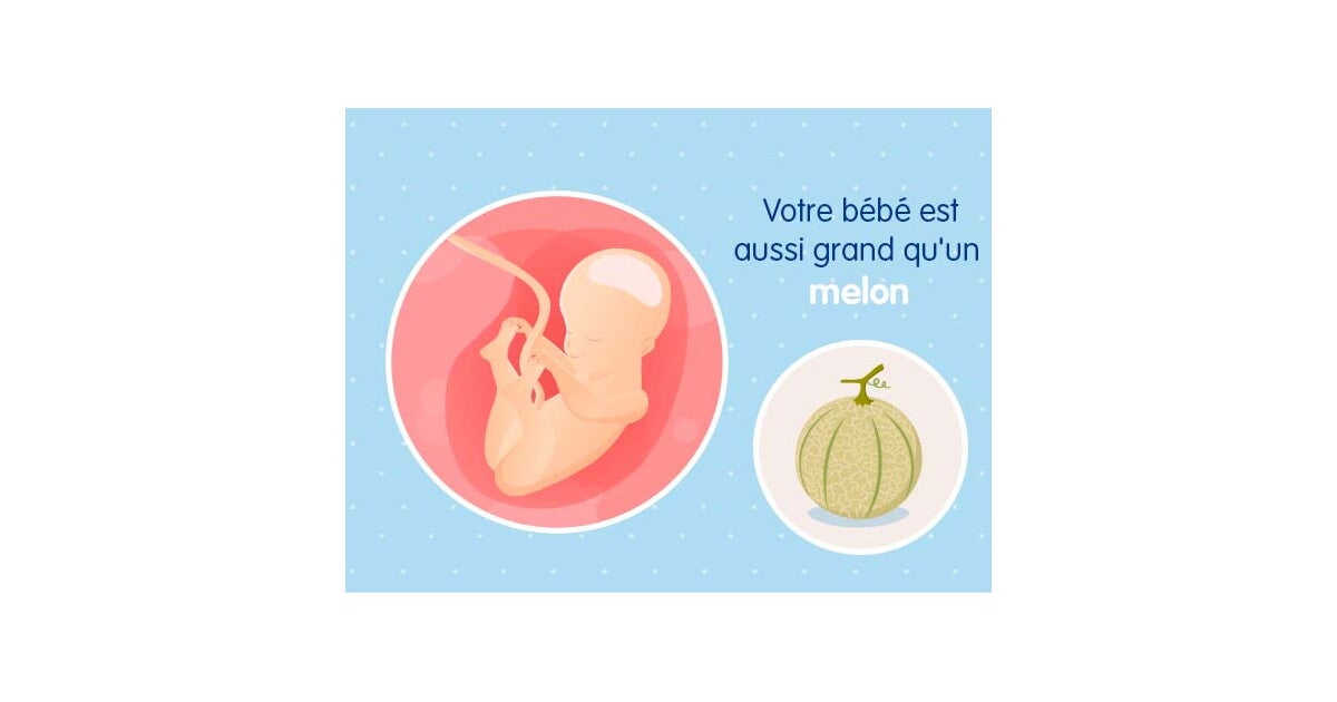 25eme Semaine De Grossesse 27 Sa Nestle Bebe