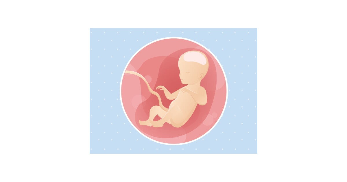 26eme Semaine De Grossesse 28 Sa Nestle Bebe 26eme Semaine De Grossesse 28 Sa Nestle Bebe