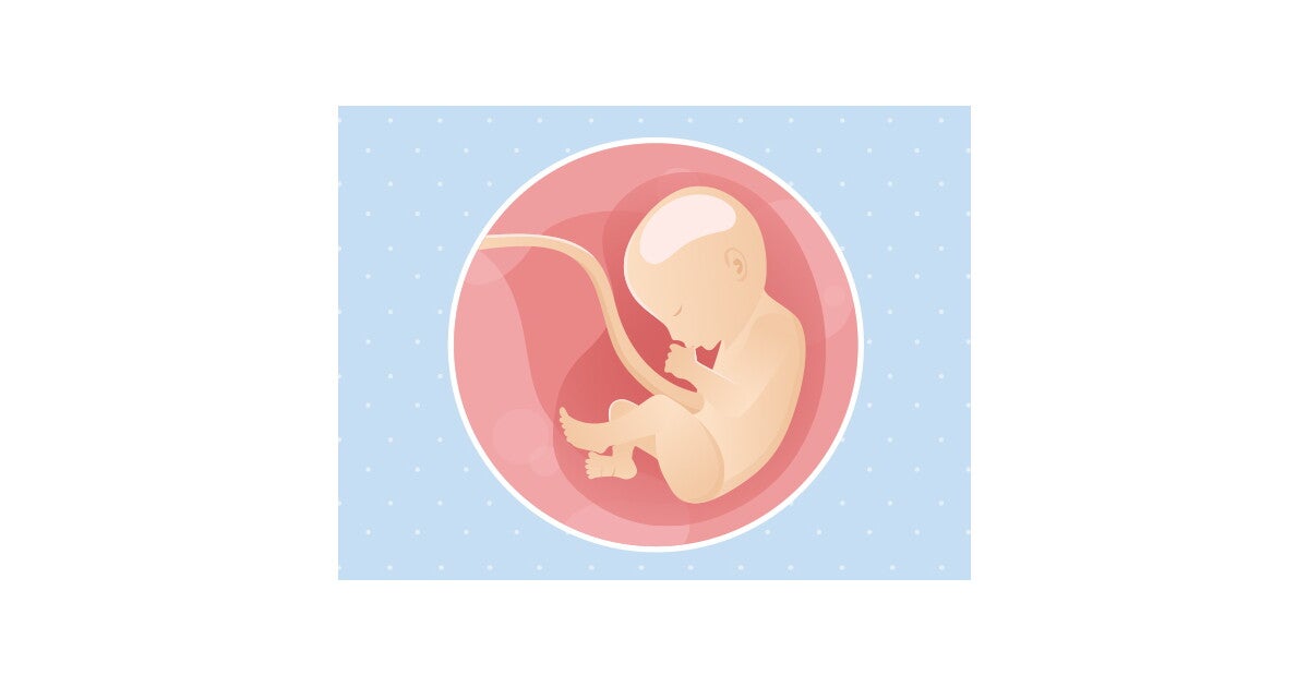 30eme Semaine De Grossesse 32 Sa Nestle Bebe