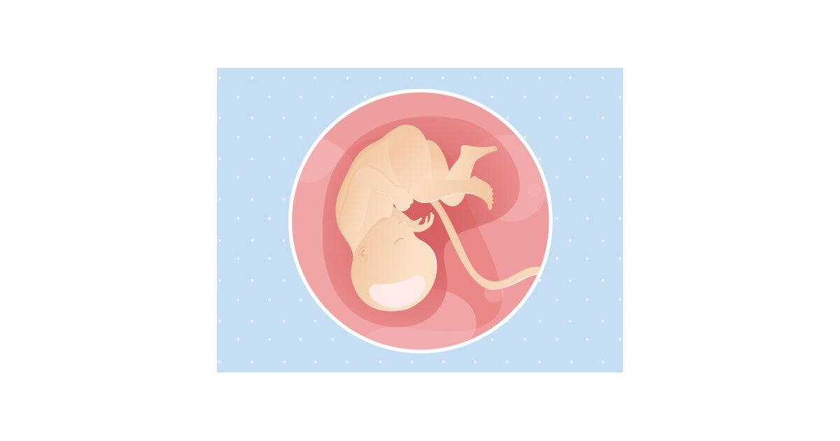 35eme Semaine De Grossesse 37 Sa Nestle Bebe