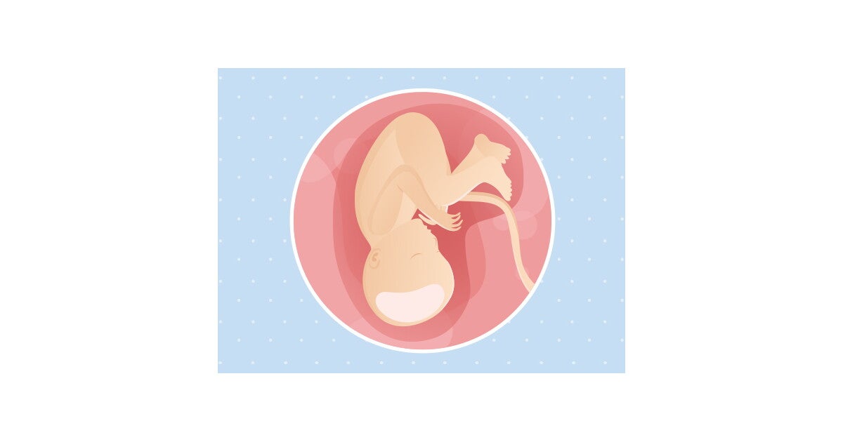 37eme Semaine De Grossesse 39 Sa Nestle Bebe
