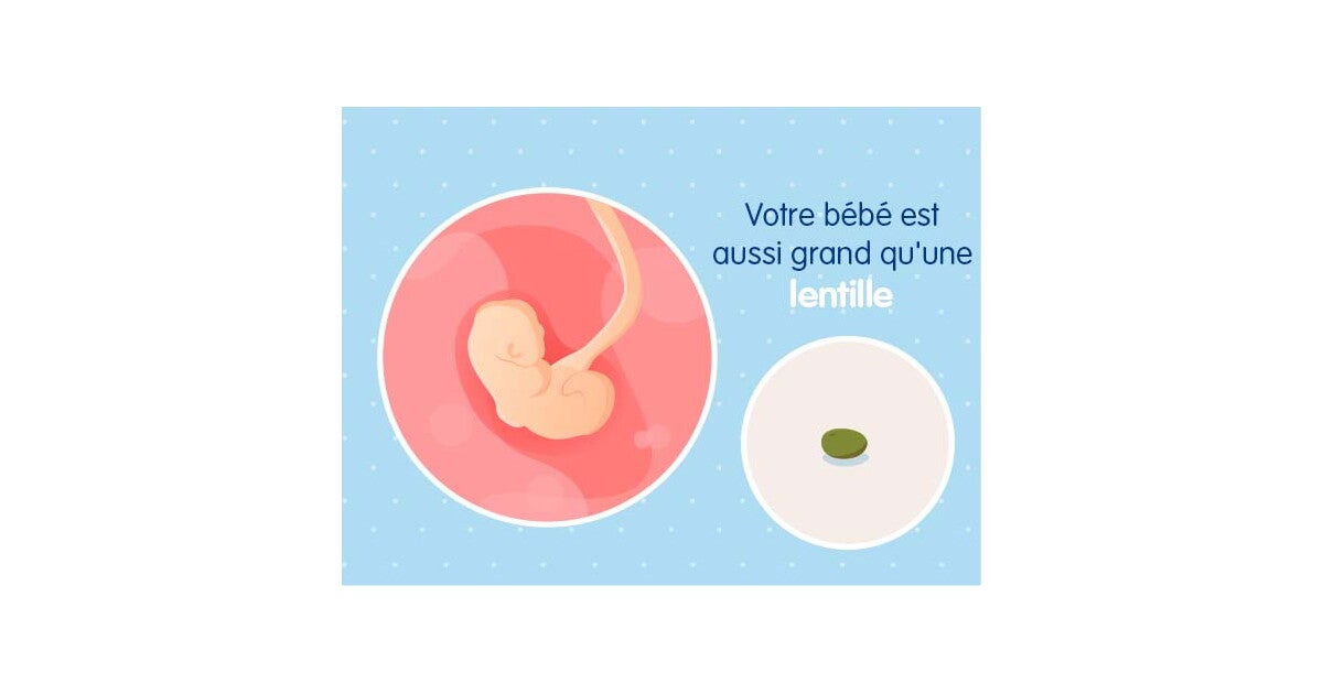 4eme Semaine De Grossesse 6 Sa Nestle Bebe