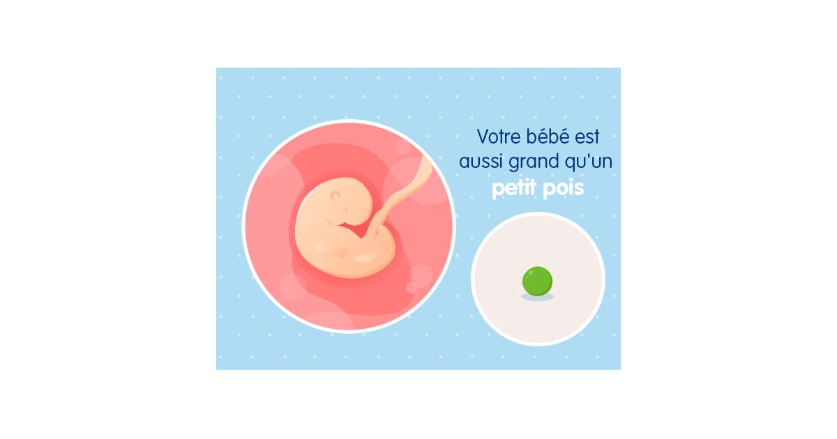 5eme Semaine De Grossesse 7 Sa Nestle Bebe