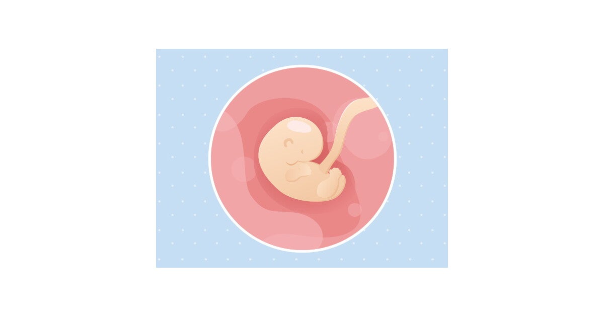 6eme Semaine De Grossesse 8 Sa Nestle Bebe