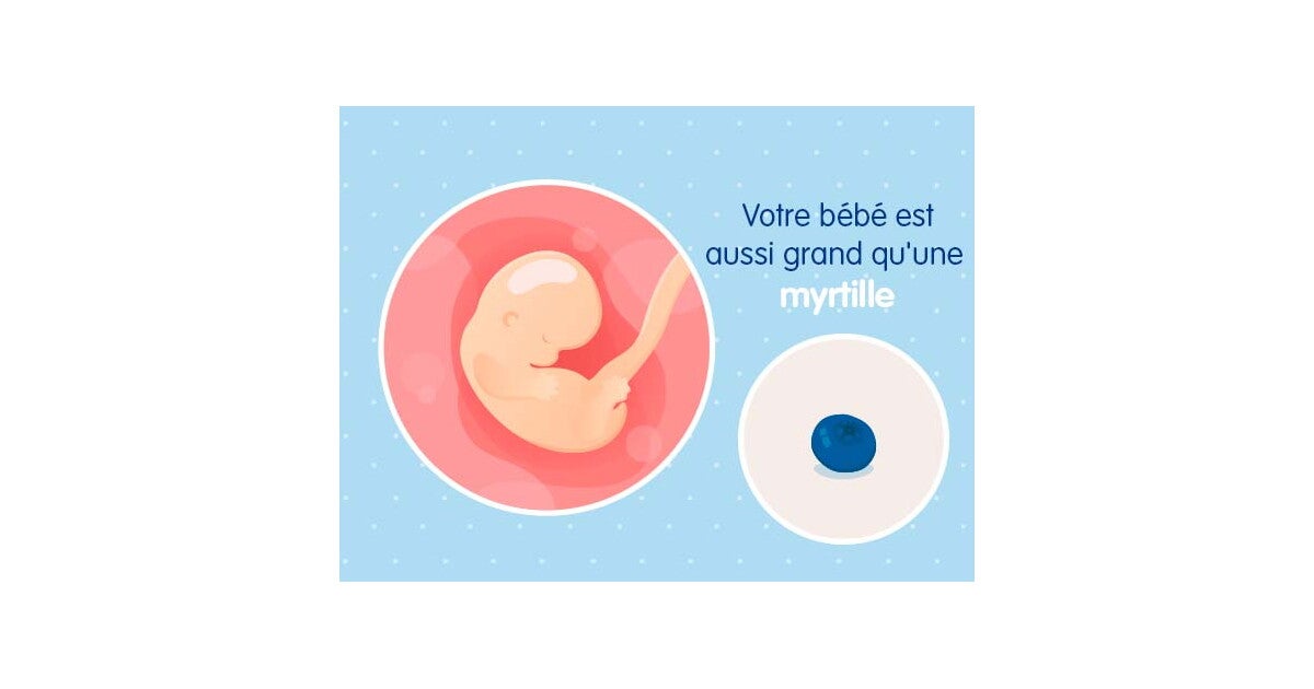 7eme Semaine De Grossesse 9 Sa Nestle Bebe 7eme Semaine De Grossesse 9 Sa Nestle Bebe