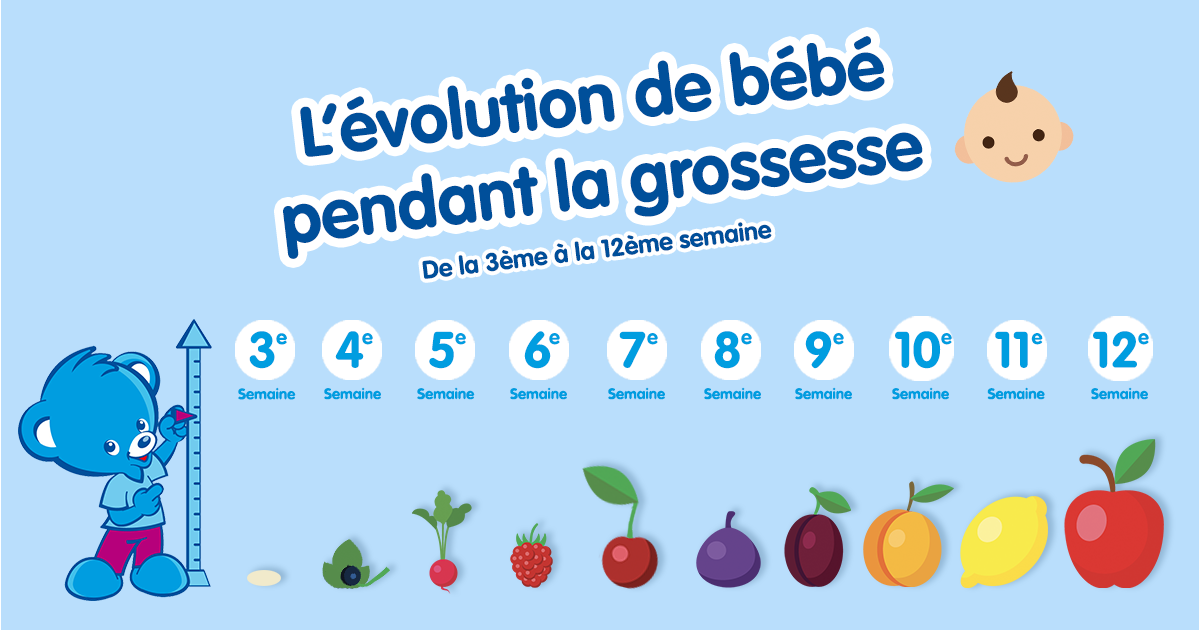 Evolution de la taille du fœtus semaine après semaine | Nestlé Bébé